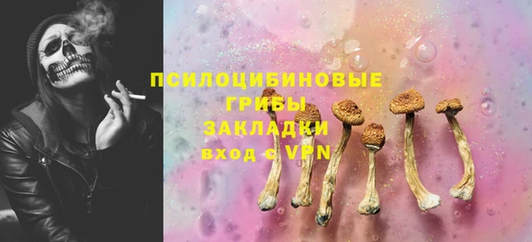 шишки Богданович