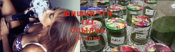 индика Белоозёрский