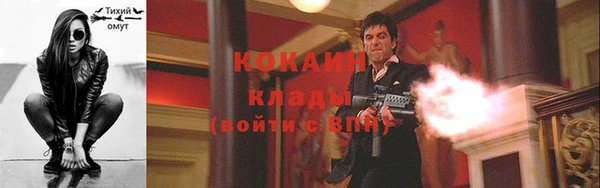 шишки Богданович