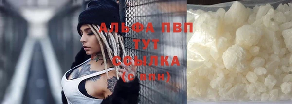 шишки Богданович