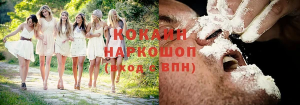 дмт Богородск