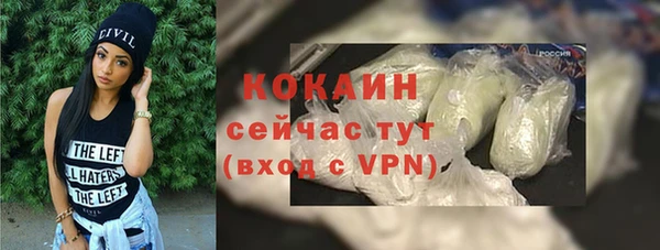 дмт Богородск