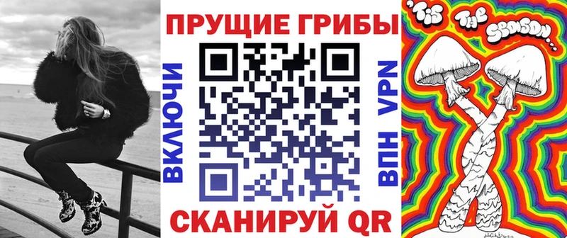 Псилоцибиновые грибы Psilocybine cubensis MEGA ONION Берёзовский