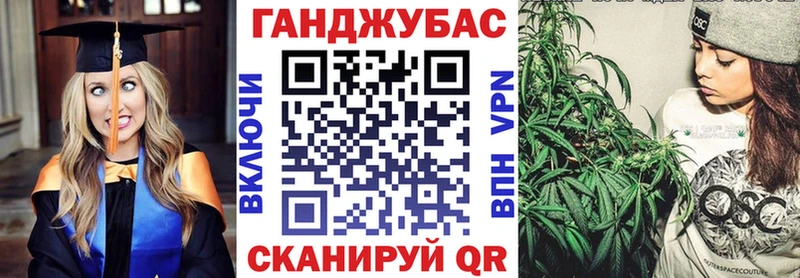 хочу наркоту  Берёзовский  OMG онион  Каннабис тримм 